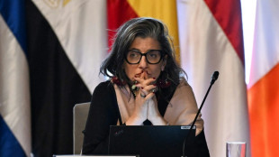 Relatora de ONU para territorios palestinos dice que sanción de EEUU es una "violación" a su inmunidad