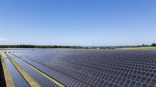 Piano Mattei, Cdp finanzia maggiore impianto fotovoltaico africano