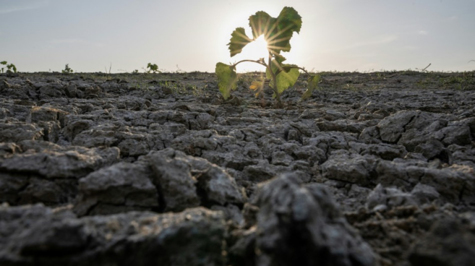 France on course for driest July on record: weather office