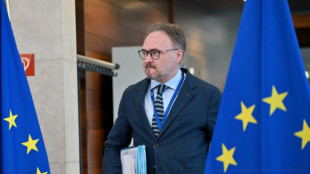 El banco europeo promete 1.600 millones de euros para la interconexión eléctrica entre Francia y España