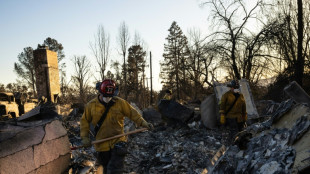 Hallan restos de una trigésima víctima mortal de los incendios en Los Ángeles