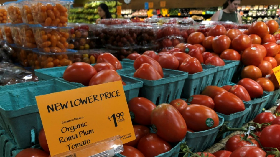 EEUU impone arancel del 17% a la mayoría de los tomates mexicanos