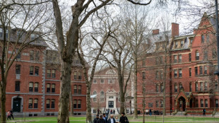 El antisemistismo y la arabofobia, males enraizados en Harvard, según unos informes
