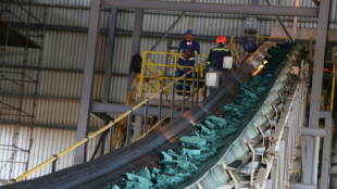 RDC: face &agrave; la Chine, offensive am&eacute;ricaine sur les minerais