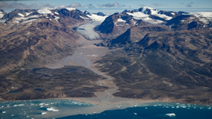 Macron to Greenland in show of support after Trump threats