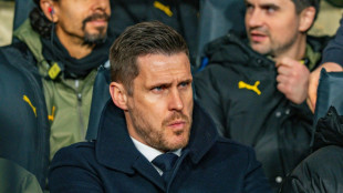 BVB erwartet deutlichen Jahresverlust