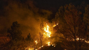 Bosco in fiamme in Spagna, almeno 12 morti