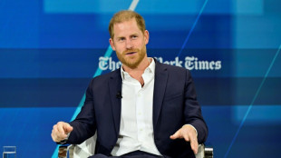 Príncipe Harry tenta mais uma vez recuperar a proteção policial no Reino Unido