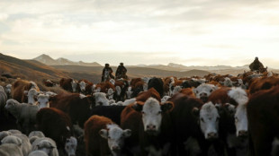 South American bloc to ink long-awaited trade deal with EU 