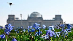 Bundestag debattiert über Koalitionsvorlage zum Familiennachzug