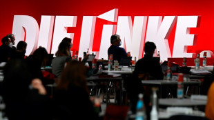 Linken-Chefin Schwerdtner: Der Gegner steht rechts - Linke muss sich wappnen