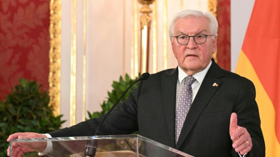 Steinmeier hält Rede zu Gefahren für Demokratie