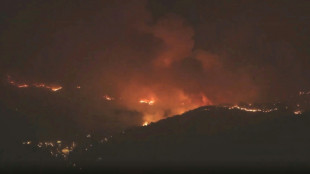 Spanish soldier dies in Aragon wildfire: regional leader
