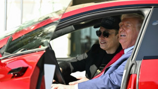 Musk vai reduzir tempo dedicado ao governo Trump