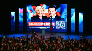 Le RN visé par de nouvelles accusations d'irrégularités au Parlement européen