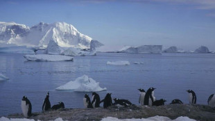 Antartide occidentale, dallo scioglimento dei ghiacci mari pi&ugrave; alti di 5 metri