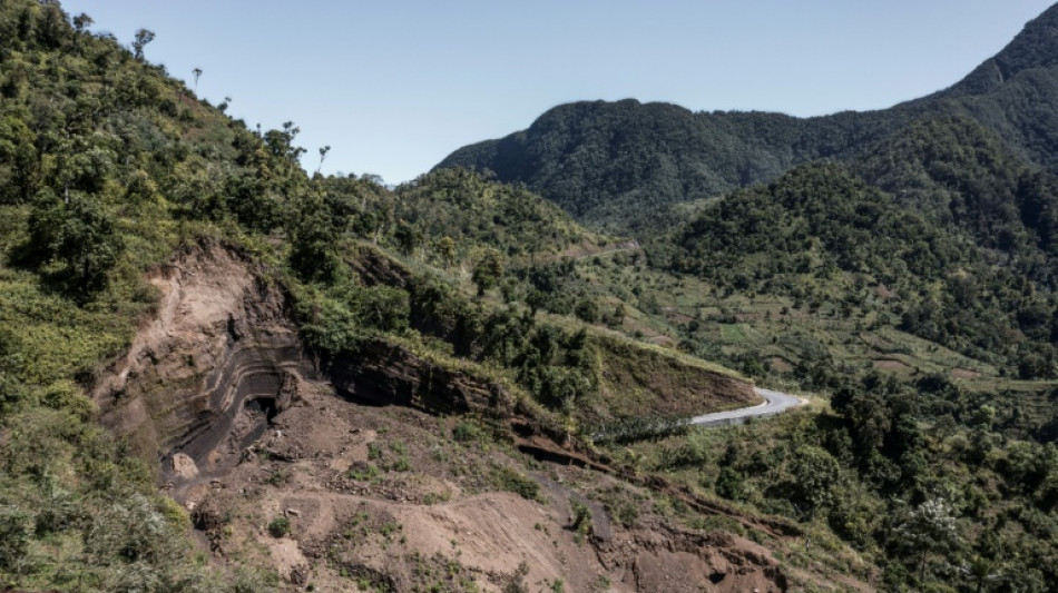 Fight to save last forests of the Comoros unites farmers, NGOs