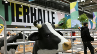 Bundespr&auml;sident Steinmeier er&ouml;ffnet Landwirtschaftsmesse Gr&uuml;ne Woche