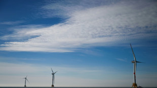 Lancement officiel du premier parc éolien flottant en France, sur les côtes des Bouches-du-Rhône