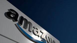 Taxe Gafa: le fisc sommé de rendre près de 24 millions d'euros à Amazon
