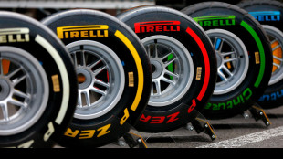 Camfin non rinnova il patto con Sinochem in Pirelli