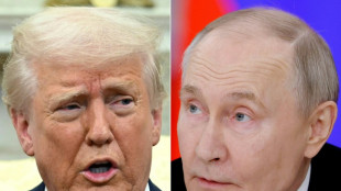 Weißes Haus: Telefonat zwischen Trump und Putin hat begonnen
