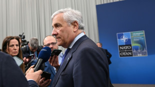 Italia denuncia que Rusia expuls&oacute; a agregado militar en Mosc&uacute; "sin motivos"