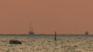 Israël: les militants du bateau pour Gaza transférés à l'aéroport pour être rapatriés