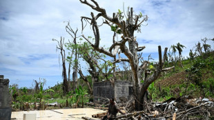 Les députés planchent sur le projet du gouvernement pour "refonder" Mayotte 