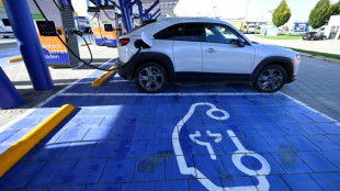 Elektroautobranche wehrt sich in Br&uuml;ssel gegen Abkehr vom Verbrenner-Aus