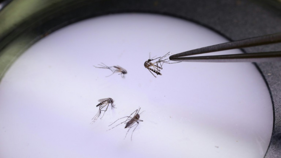 Invasive species cost trillions in damages: study
