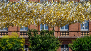 La UE defiende su "derecho soberano" de regular la tecnología tras nuevas amenazas de Trump