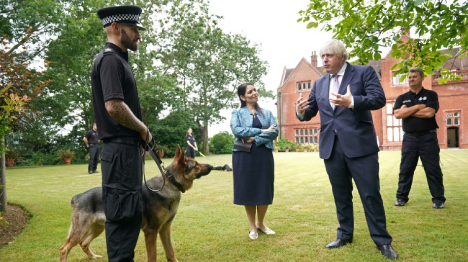 Pressure on UK PM mounts over Afghan pet evacuations