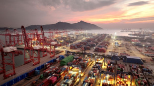 OMC melhora suas previsões para o comércio mundial em 2025