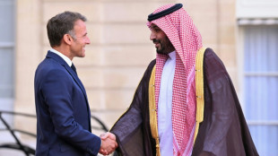 Saudi-Arabien will in Manga-Vergn&uuml;gungspark bei Paris investieren