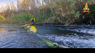 ++ Disperso dopo il bagno con i figli nel fiume, un bimbo gravissimo ++