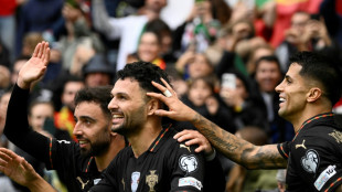 Portugal st&uuml;rmt zur WM - Ringen um Ronaldo