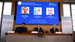 Drei Forscher erhalten Chemie-Nobelpreis für Entwicklung neuer Molekular-Architektur