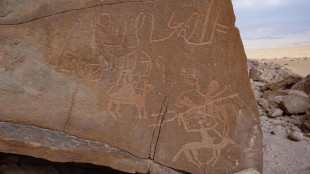 Arte rupestre del 10.000 avanti Cristo scoperta nel sud del Sinai