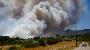 Espagne: l'incendie pr&egrave;s de la Costa Brava a d&eacute;j&agrave; br&ucirc;l&eacute; 2.200 hectares