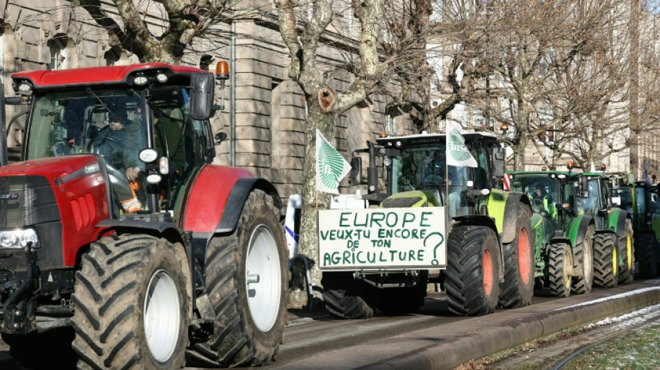 Mercosur: des milliers d'agriculteurs europ&eacute;ens attendus &agrave; Strasbourg