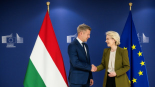 Hungary's Magyar pushes to unblock EU billion in Brussels
