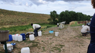 Nel 2025 rimesse immigrati salgono a 8,6 miliardi, Bangladesh in testa