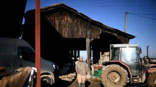 Journal d'un agriculteur: les "petits" ont-ils encore leur place ?