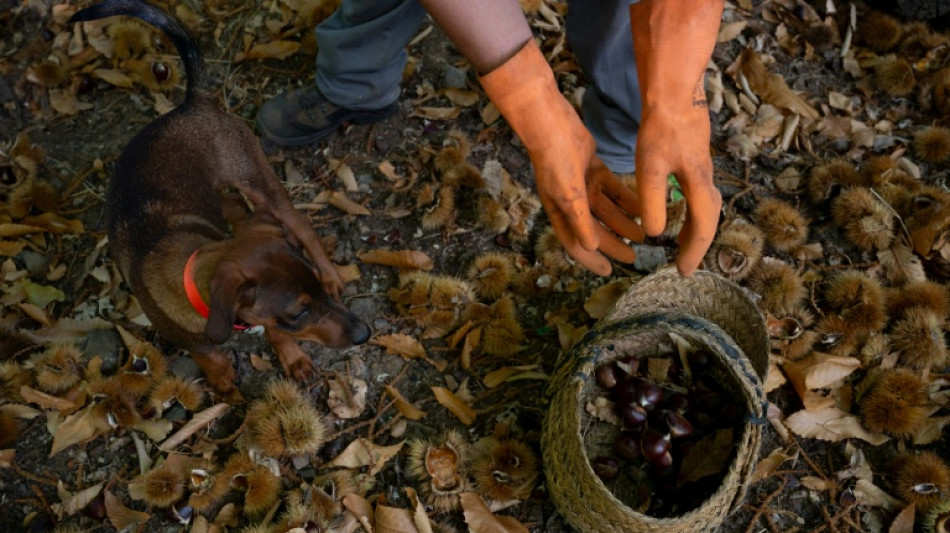 El desempleo en España registra un ligero aumento en el tercer trimestre, al 10,45%