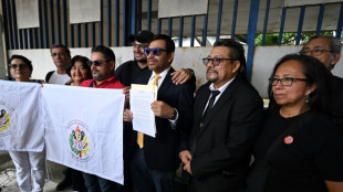 Piden declarar inconstitucional la reelecci&oacute;n indefinida en El Salvador