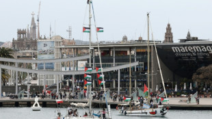 La "flottille pour Gaza" intercept&eacute;e par Isra&euml;l loin de ses c&ocirc;tes, 175 militants arr&ecirc;t&eacute;s