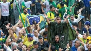 Oito feridos em 'condi&ccedil;&otilde;es inst&aacute;veis' ap&oacute;s raio atingir protesto pr&oacute;-Bolsonaro em Bras&iacute;lia