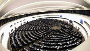 Emp&ouml;rung &uuml;ber Zeigen von Hitlergru&szlig; durch Abgeordneten im EU-Parlament