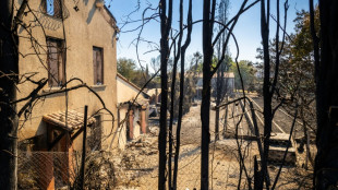 Pyr&eacute;n&eacute;es-Orientales: "C'&eacute;tait comme entrer dans un tunnel de fum&eacute;e"